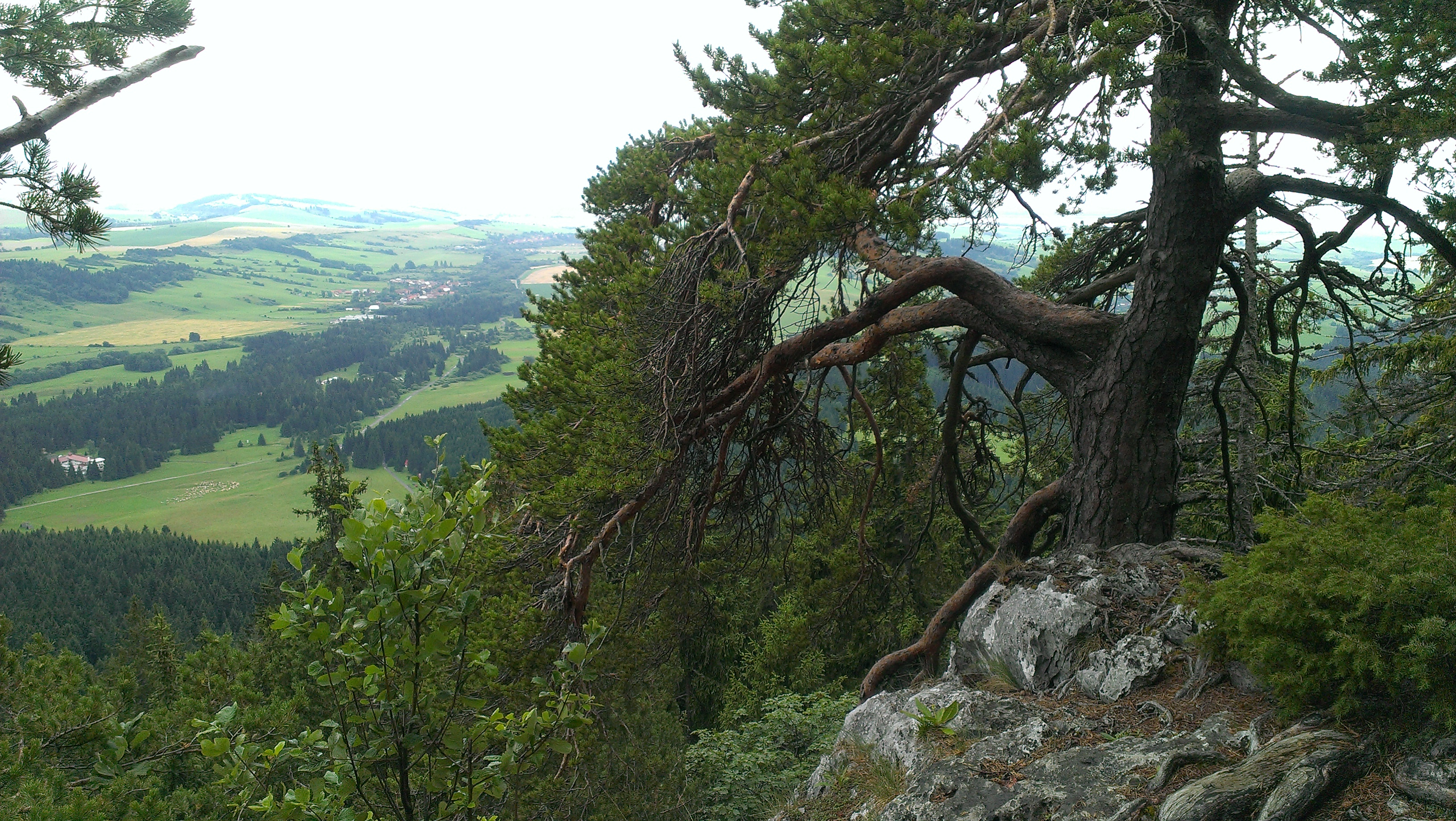 IMAG0131