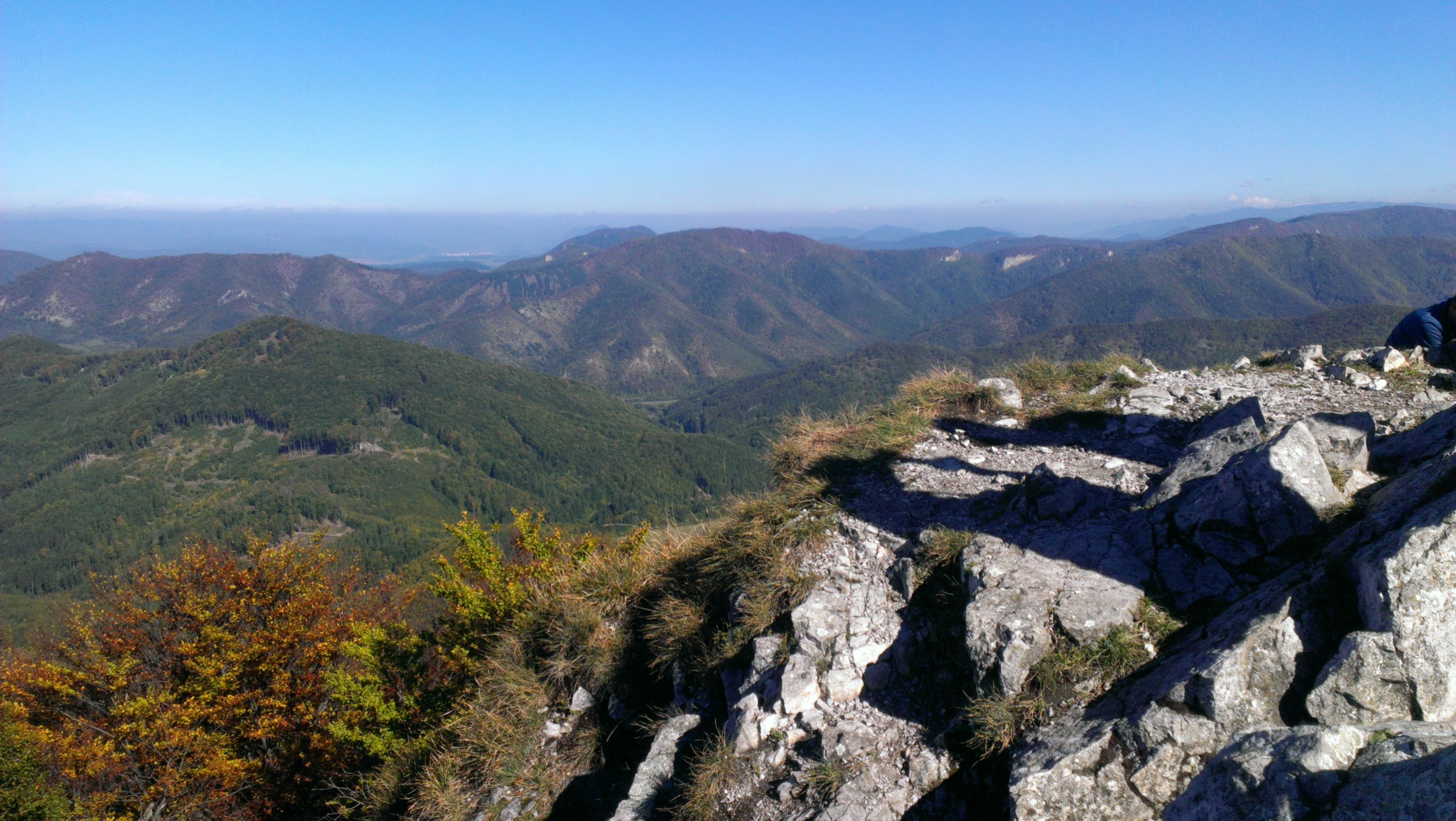 IMAG0591